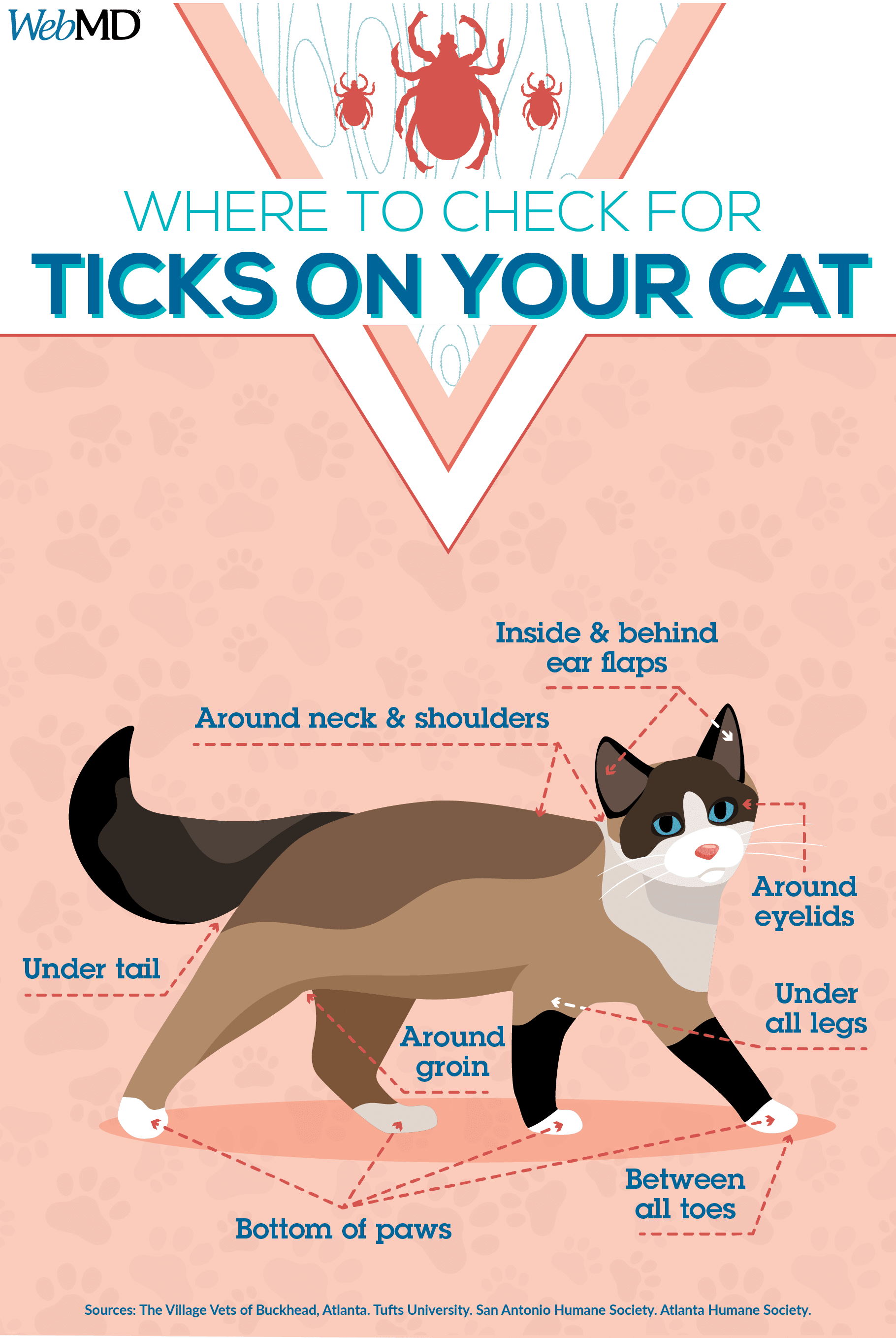 Cat Tick Check Chart