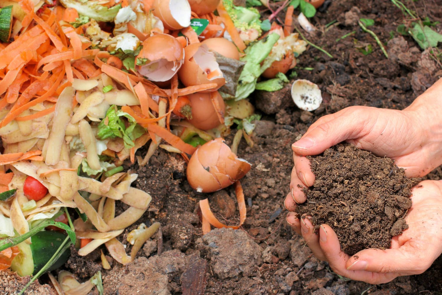 7 Things to Do With Compost if You Don't Garden - One Green Planet