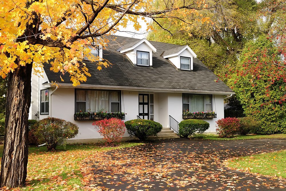 A single family house among trees in the autumn among fallen leafs and with halloween decoration