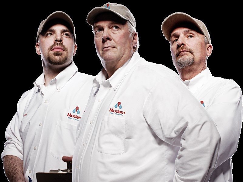 Modern Pest Core Values Continuing Award Winning