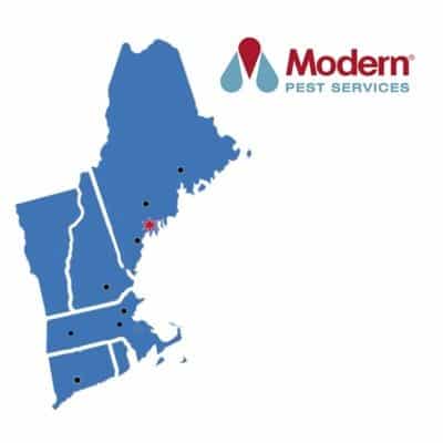 Modern Pest Services to Remain Open as an Essential Service Provider in Massachusetts and Connecticut
