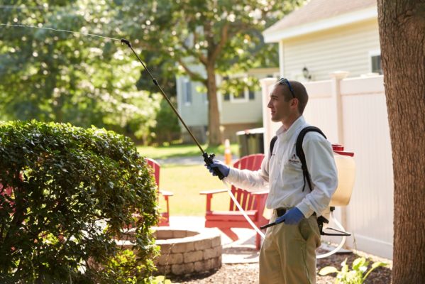 What is Organic Pest Control?