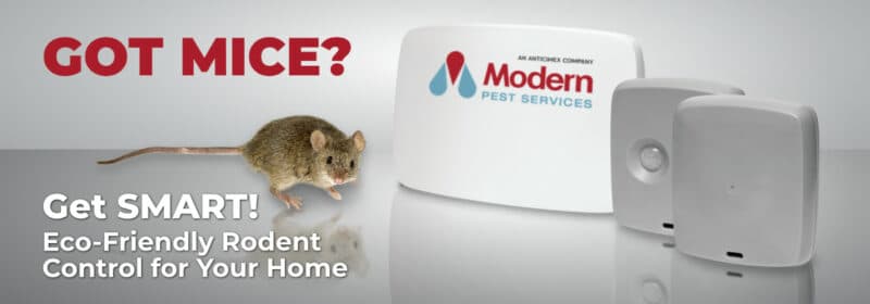 Got Mice? Get SMART!