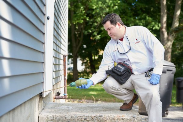 Don’t Let Overwintering Pests Invade Your Home