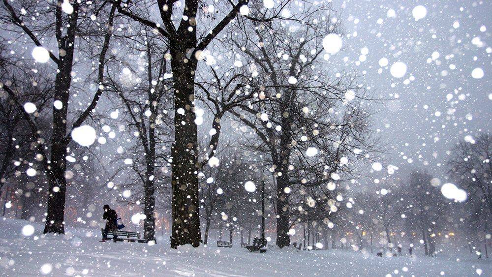 Snowfall in park Boston Winter