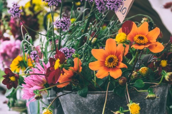 Natural Pest Control:  4 Flowers For Your Garden