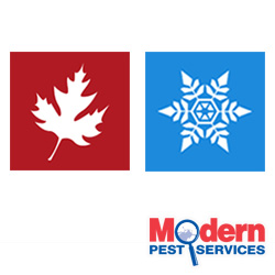 fall and winter pest control in New England