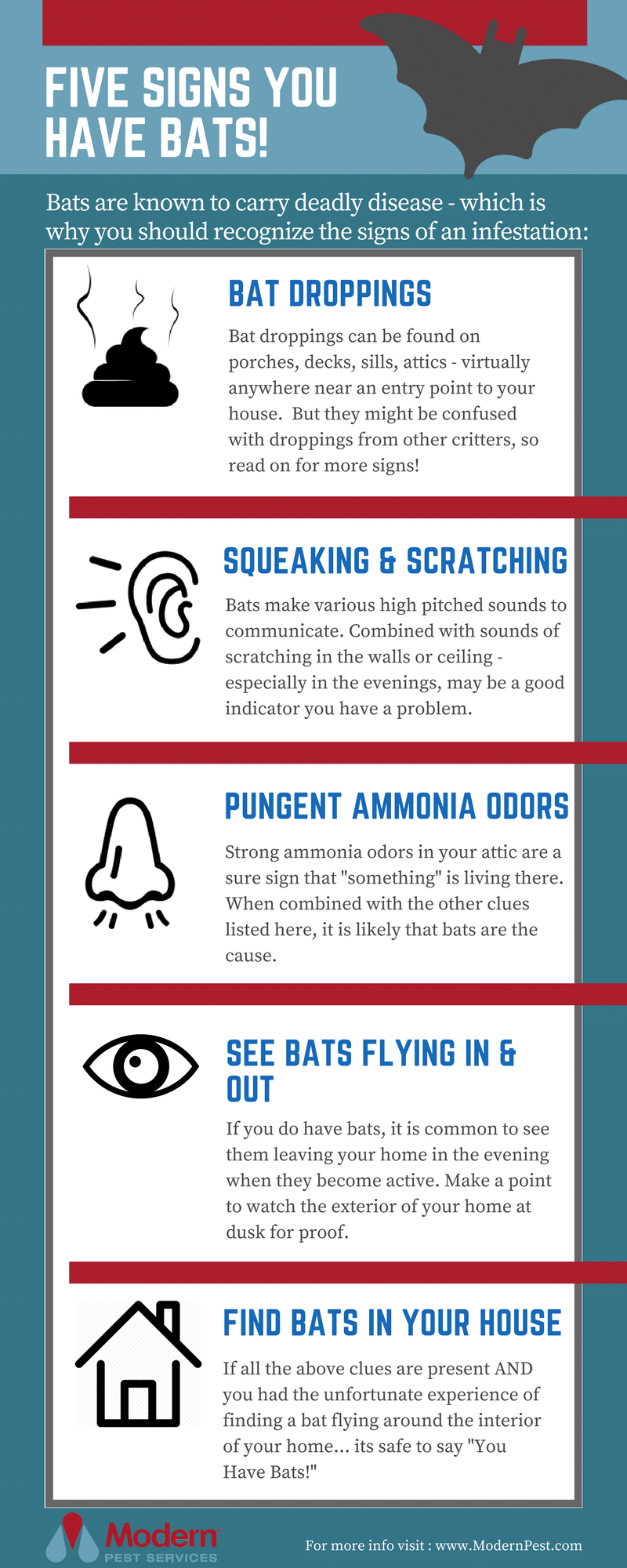 5 Signs You have Bats Infograph