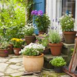 patio with flowers and flower pots