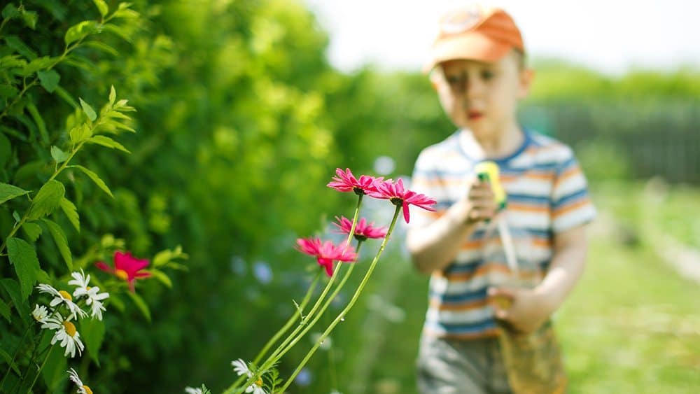 boy holds in hands bottle sprayer to watering the flowers from pests. selective focus