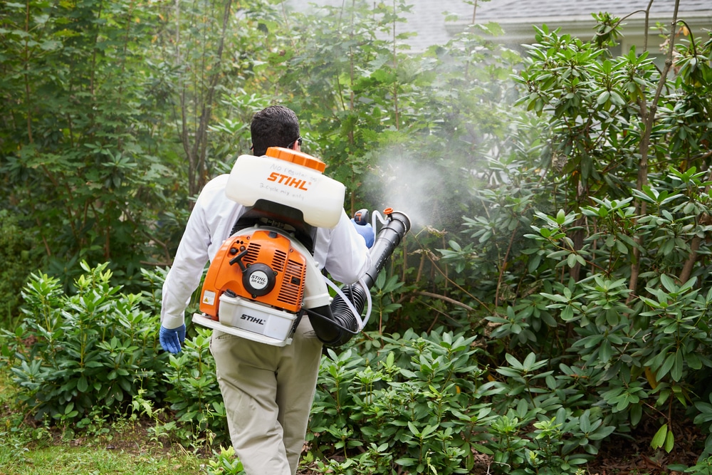Person with orange and white Stihl brand sprayer spraying a misty substance over green bushes and trees
