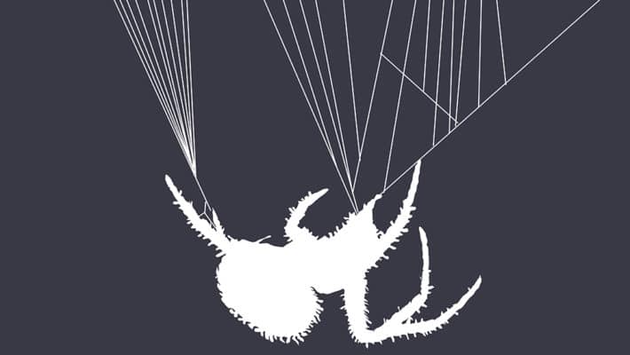 Hairy spider weaving a spiderweb on a dark blue background.