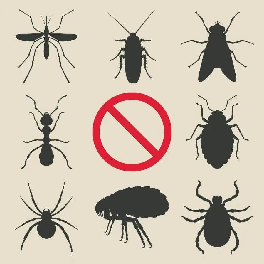 Household pests in silhouette with circle-backlash symbol