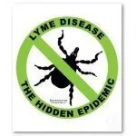 Lyme disease: the hidden epidemic