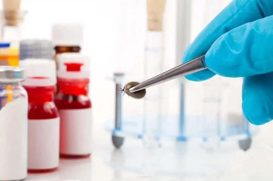 Medical study of tick control