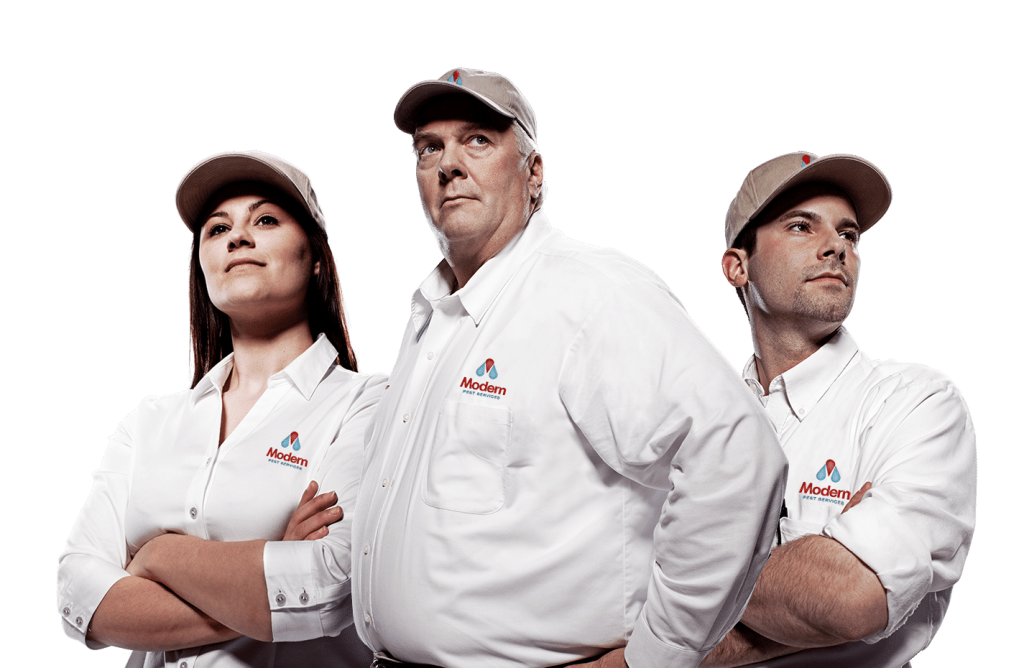 Modern Pest Services Heroes