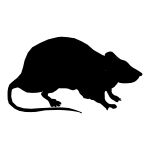 Rat icon