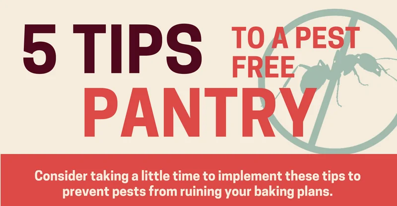 pantry pest infograph