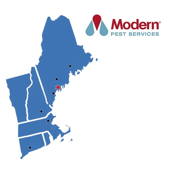 Map of New England with Modern Pest locations labeled