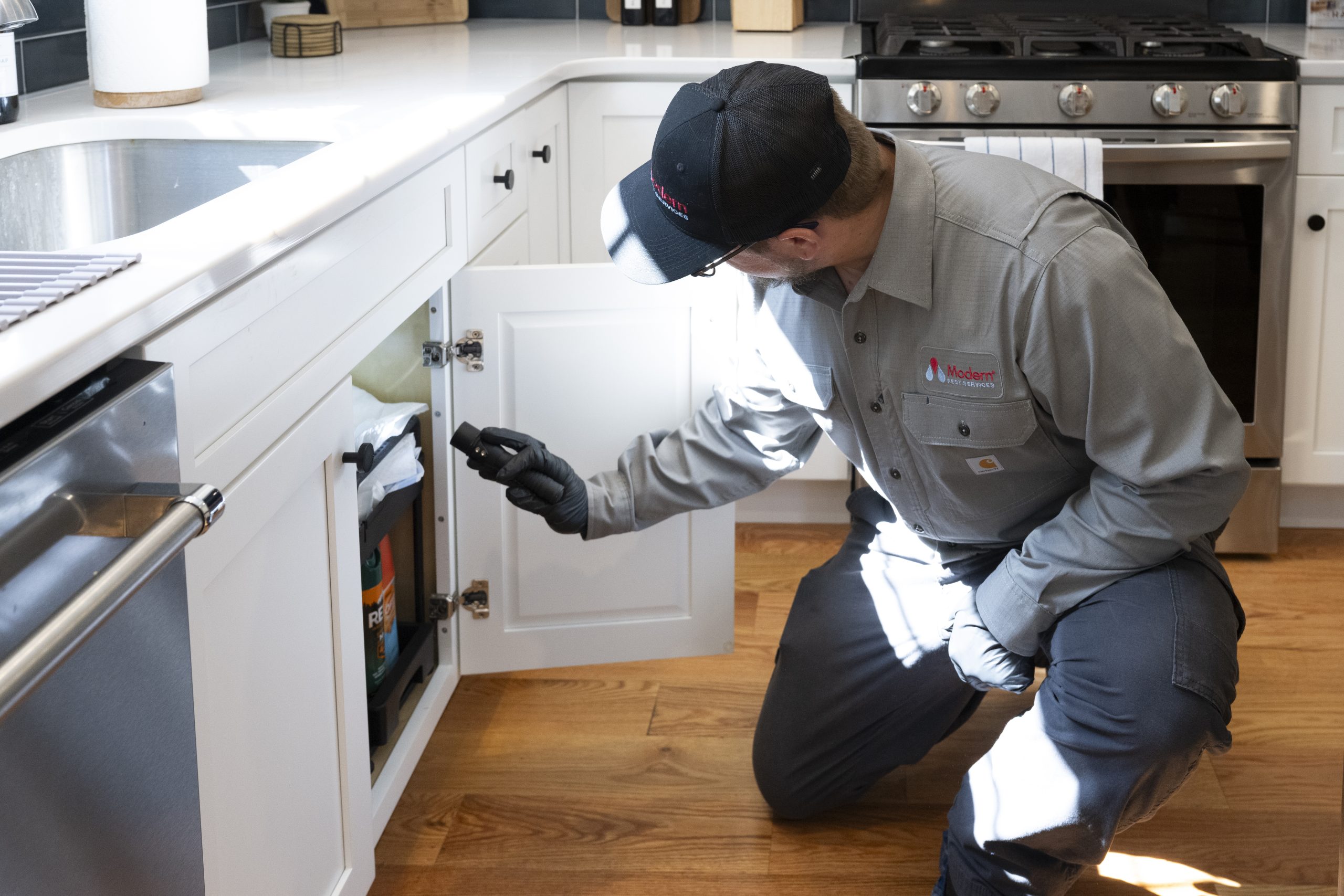 Household Pest Control | Exterminator Services & Insect Pest Control in ...