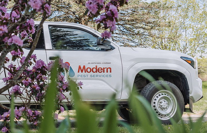 modern pest services truck