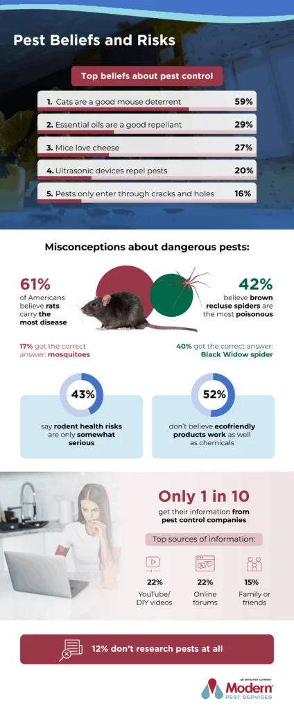 Infographic from Modern Pest Services showing statistics on pest myths and failures that Americans believe and experience.