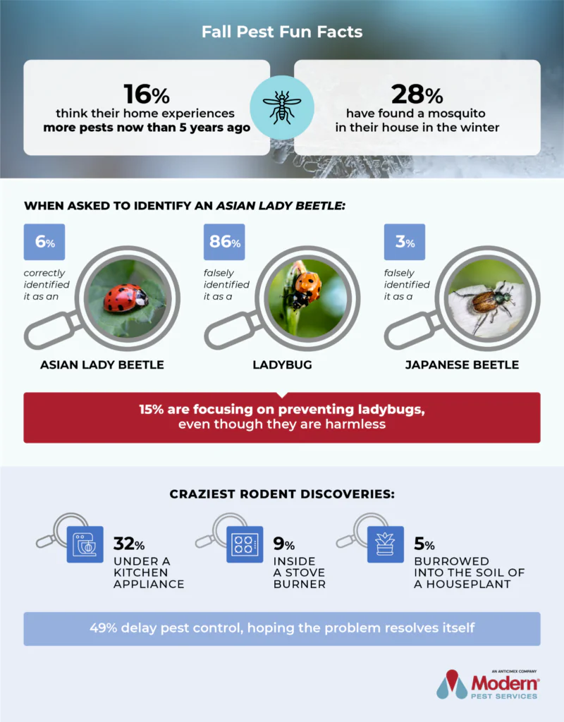 Fall Pest Fun Facts Infographic - Modern Pest Services