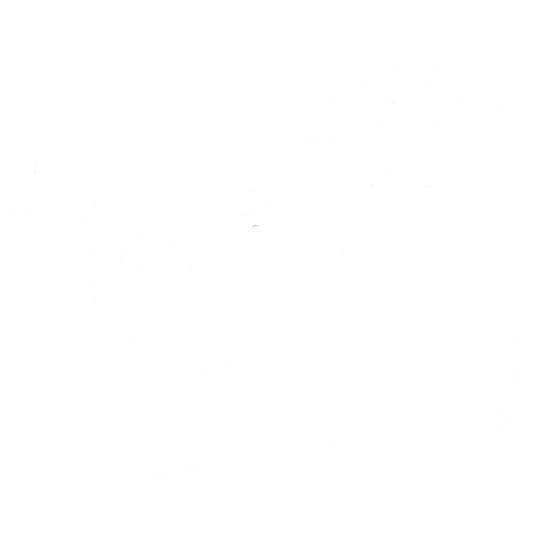 stinging insect icon